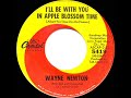 1965 Wayne Newton -  I’ll Be With You In Apple Blossom Time (mono 45)