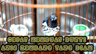 Download lagu ANIS KEMBANG NGESIT NGEPLONG EFEKTIF BUAT PANCINGAN ANIS KEMBANG BIAR BUNYI mp3