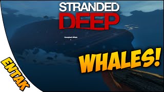 Stranded Deep Gameplay ➤ HUMPBACK WHALE! Update Information