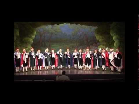 The entrance of the Peers from Iolanthe