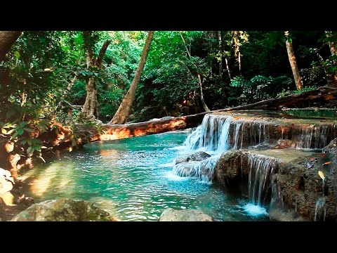 Giải nhiệt cho ngày nắng nóng bằng âm thanh thiên nhiên
