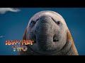 Happy Feet Two 2011 Bryan Screen Time