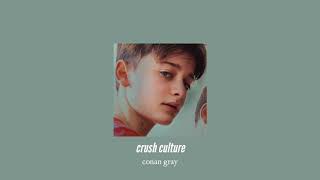 Crush Culture Conan Gray Download M4a Mp3 - download mp3 crush culture roblox id 2018 free