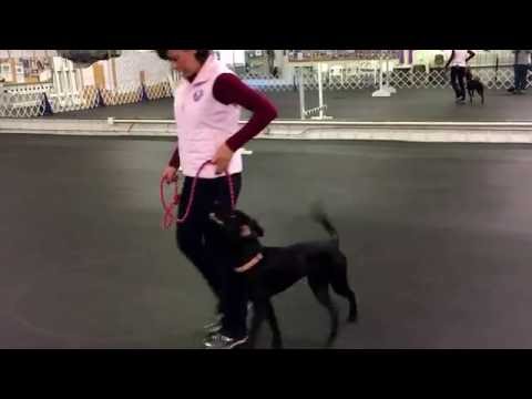 Zayna 9 months figure 8