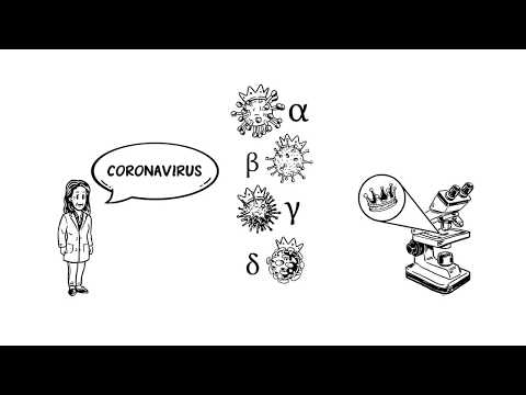 ¿Que es Coronavirus?