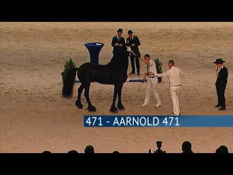 Hengstenkeuring 2017 – Rubriek 05