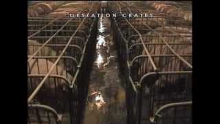 Földlakók - Earthlings - Erdlinge