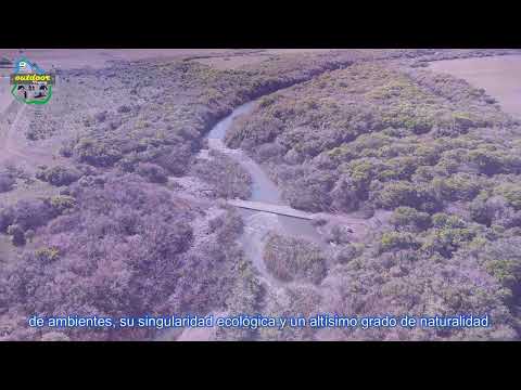 Área Protegida Montes del Queguay en Paysandú.