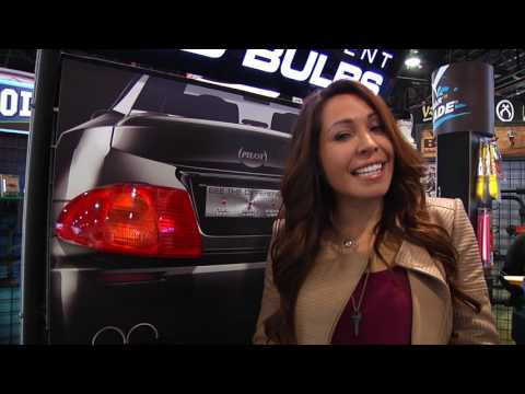 Pilot Automotive LED Replacement Bulbs