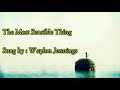 Waylon Jennings ~ The Most Sensible Thing (lyrics)