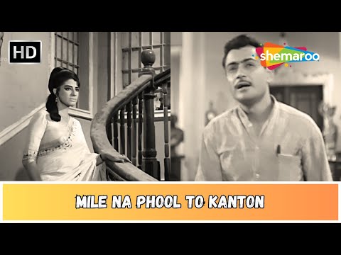 मिले न फूल तो काँटों | Mile Na Phool To Kanton | Anokhi Raat (1969) | Parikshit | Mohd.Rafi Hit Song