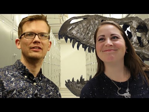 VERY DEAD ANIMALSからの感想 (Thoughts from VERY Dead Animals)