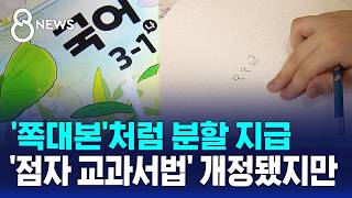 점자교과서 법안 개정됐지만..쪽대본 우려 여전한 이유 / SBS 8뉴스