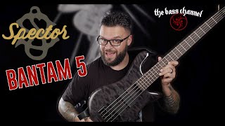 Video thumbnail for Spector Bantam 5 Bass Demo by The Bass Channel