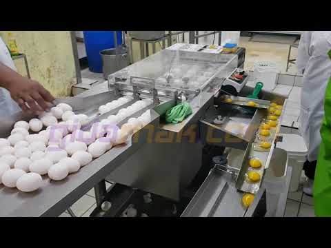 RZ-3 Yumurta Kırma Makinesi - Egg Breaker And Separator