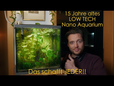 Ein grünes Nano Aquarium OHNE Pflegeaufwand - Tetra AquaArt 30L (Kein Co2 oder Dünger)