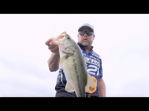 2019 Bassmaster Elite at Lake Guntersville