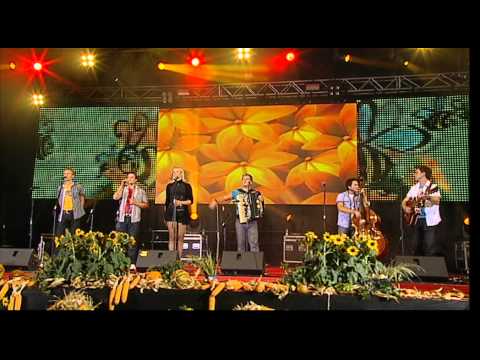 VESELI SVATJE - ČEBELAR
