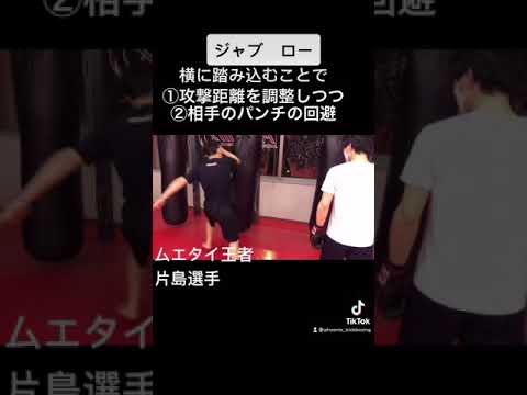 実戦を想定し、ローキックを蹴るときは横斜めに踏み込め！