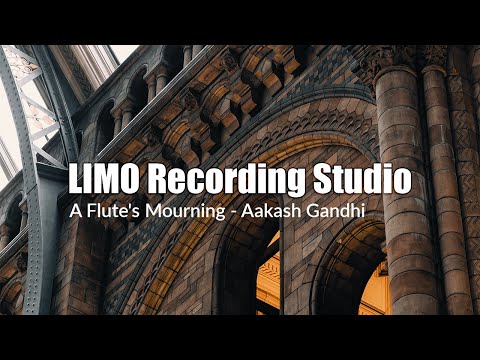 Aakash Gandhi - A Flute's Mourning (No Copyright Music)