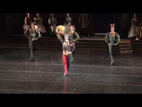 Taiga Kodama-Pomfret Act 3 Jester variation Swan Lake
