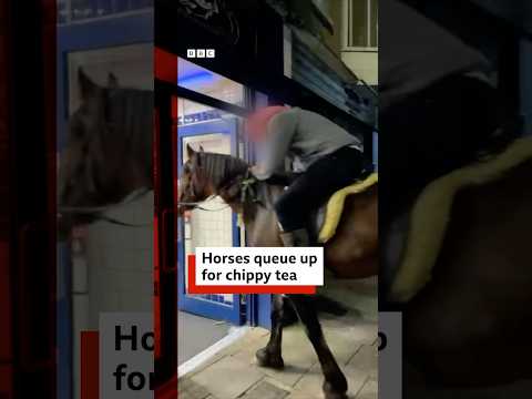 Watch the video | Horses shock customers by queueing up in UK chip shop. #UK #BBCNews