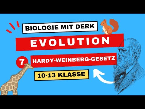 Evolution | 7 | Hardy-Weinberg-Gesetz (mit Übungen) | 10 - 13 Klasse