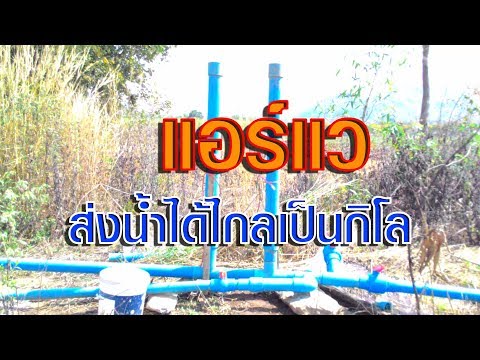 การดำเนินการสำหรับการเปิดอวัยวะเพศลึงค์ รักษาความอ่อนแอใน Grodno