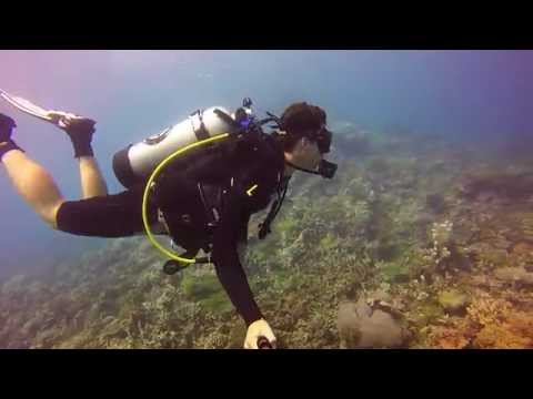 GoPro Great Barrier Reef Scuba Diving