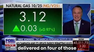 Mike Sommers on Permitting at Fox Business News