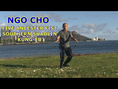 Five Ancestors Fist Ngo Cho Southern Shaolin Kung fu Forms
