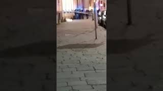 lite-tra-venditori-di-fazzoletti-finisce-in-tragedia-a-napoli