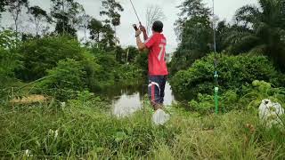 preview picture of video 'Lesen Baung 2019 - Sungai Sepayang'