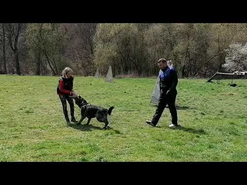 Ruby Rose Leryka -obrany (16 měsíců) 4/2021