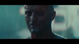 This is not the end | GMV | The Bravery