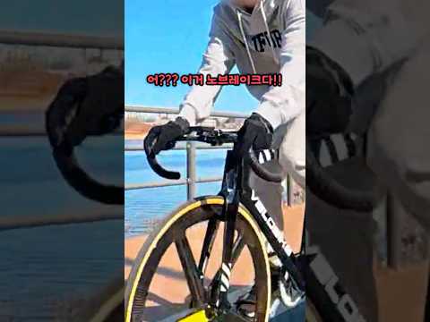 픽시 무리 발견ㄷㄷㄷ