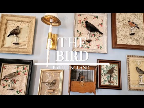 The Bird Bath Tour: Boutique hotel in England