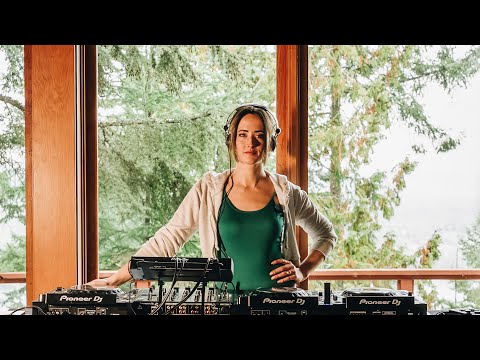 Shades of Day - Progressive Set | Cozy Cabin in 4K