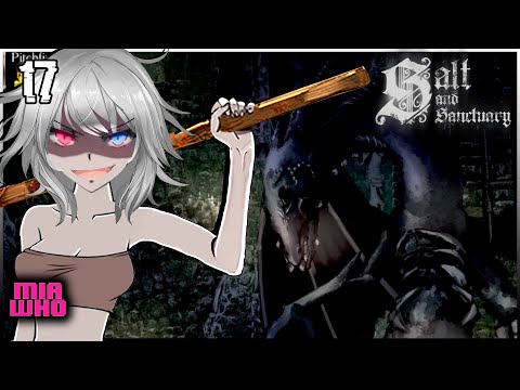 Salt and Sanctuary Walkthrough 100% No Commentary - Crypt of Dead Gods 17