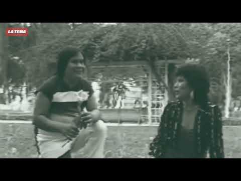 LOS SHAPIS - HOMBRE CASADO