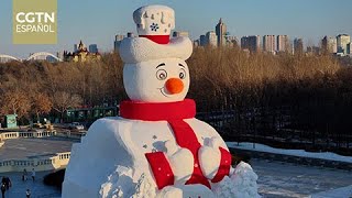Harbin crea nuevas zonas paisajísticas de hielo y nieve