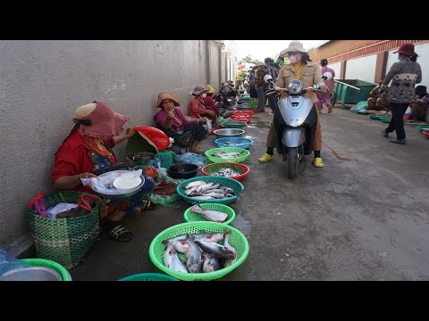 Amazing Morning Street Food @Takhmao Thmey Market - Morning Daily Life Style Of Vendors in Takhmao