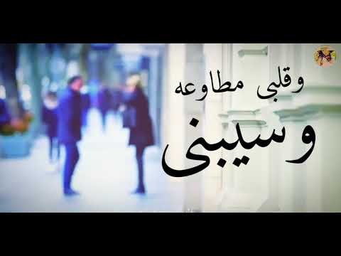 حبيبى ياليل | ابو| حالات واتس