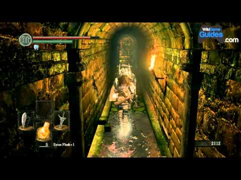 Dark Souls Walkthrough - Depths: Avoiding the Curse Froggs, to the Gaping Dragon Boss (Part 027)