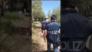 Priolo Gargallo, scoperta piantagione di marijuana: arrestato uomo, sequestrata droga