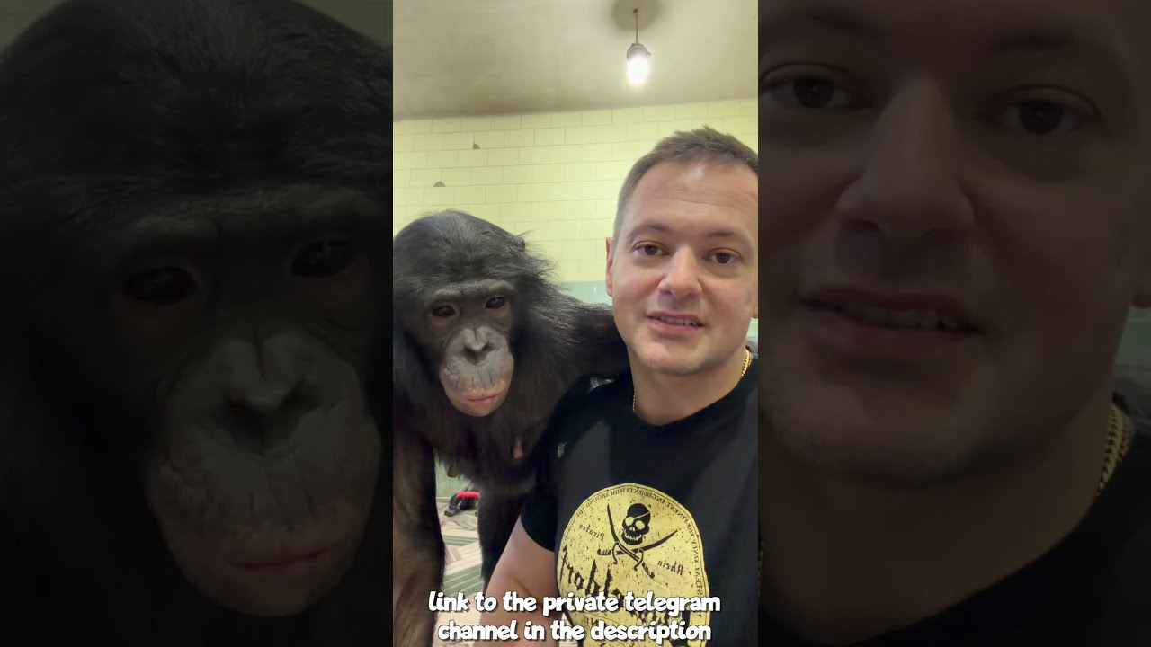 Потрясающая Реакция Обезьяны на Особый Сюрприз от Подписчиков!