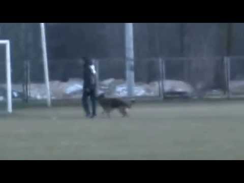 Phill Vikar IPO3 Jaktorów