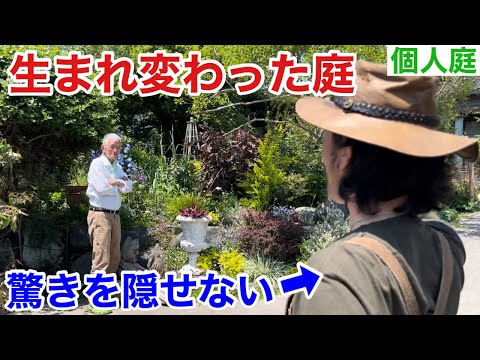 観葉植物の月のガーデニング