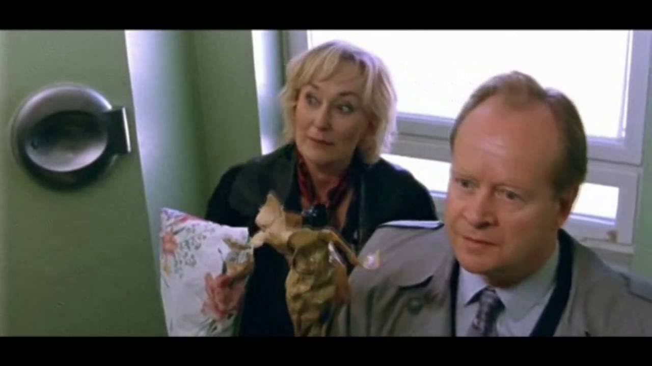 Filmaffish för Leva livet