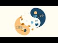 CRM Vs ERP What S The Difference